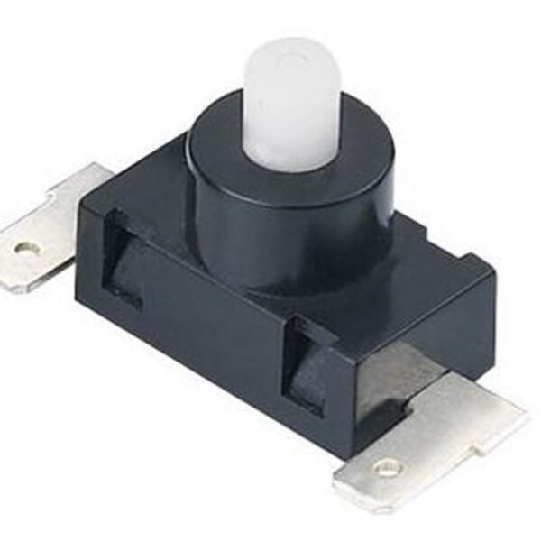 BE-180H4 Süpürge Anahtarı 2P PBS-03A